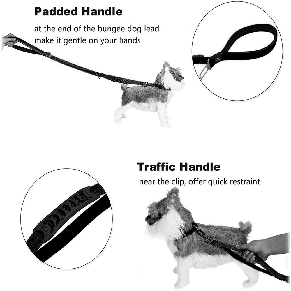 Dog Bungee Leash