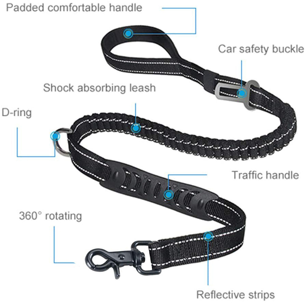 Dog Bungee Leash